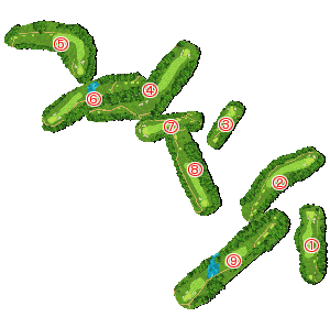 コース全体俯瞰図