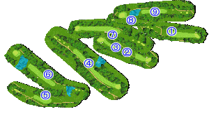 コース全体俯瞰図