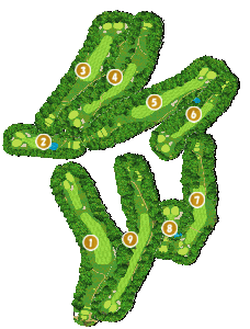 コース全体俯瞰図