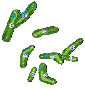 コース全体俯瞰図