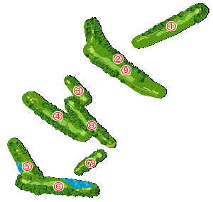 コース全体俯瞰図