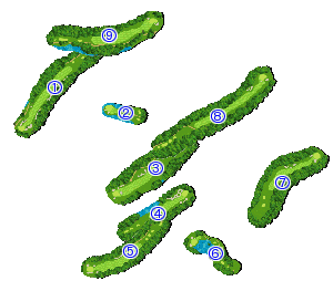 コース全体俯瞰図