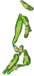 コース全体俯瞰図