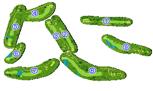 コース全体俯瞰図