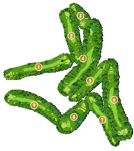 コース全体俯瞰図