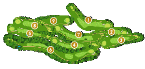 コース全体俯瞰図