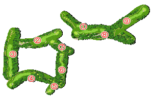 コース全体俯瞰図