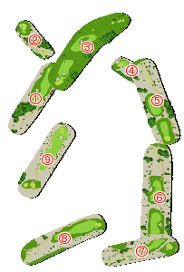 コース全体俯瞰図