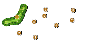 コース全体俯瞰図
