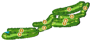 コース全体俯瞰図