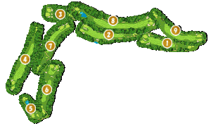 コース全体俯瞰図