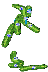 コース全体俯瞰図
