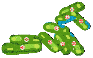 コース全体俯瞰図