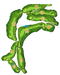 コース全体俯瞰図