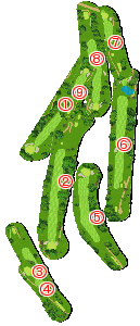 コース全体俯瞰図