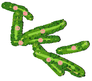 コース全体俯瞰図