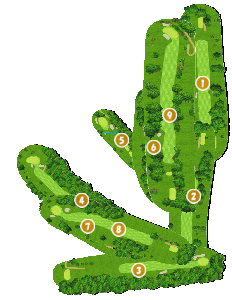 コース全体俯瞰図