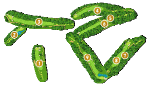 コース全体俯瞰図