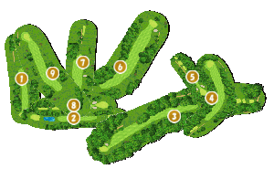 コース全体俯瞰図