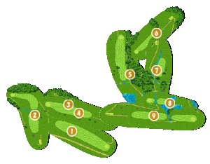コース全体俯瞰図