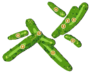 コース全体俯瞰図