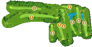 コース全体俯瞰図