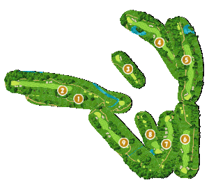 コース全体俯瞰図