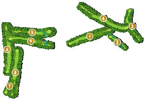 コース全体俯瞰図