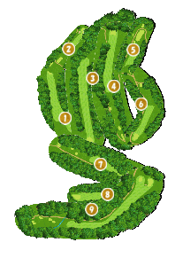 コース全体俯瞰図