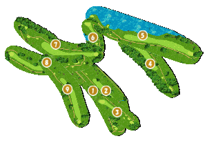 コース全体俯瞰図