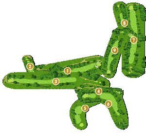 コース全体俯瞰図