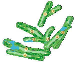 コース全体俯瞰図