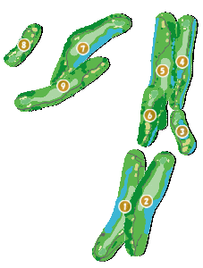 コース全体俯瞰図