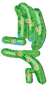 コース全体俯瞰図