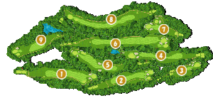 コース全体俯瞰図