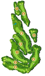 コース全体俯瞰図