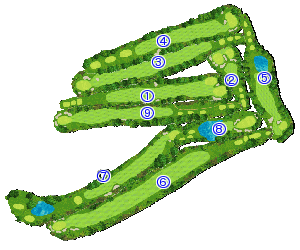 コース全体俯瞰図