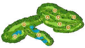 コース全体俯瞰図