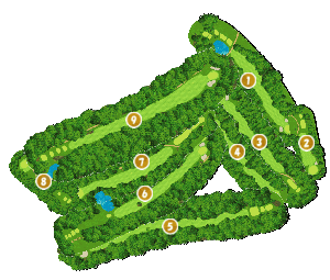 コース全体俯瞰図