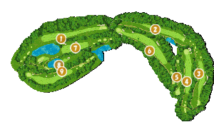 コース全体俯瞰図