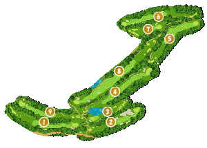 コース全体俯瞰図