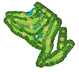 コース全体俯瞰図