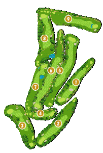 コース全体俯瞰図