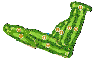 コース全体俯瞰図