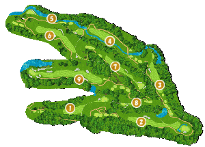 コース全体俯瞰図