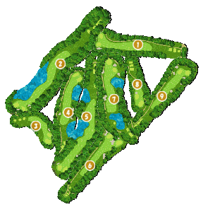 コース全体俯瞰図