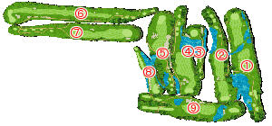 コース全体俯瞰図