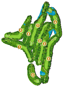 コース全体俯瞰図