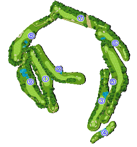 コース全体俯瞰図