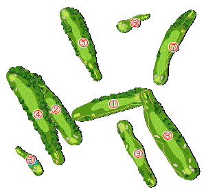 コース全体俯瞰図